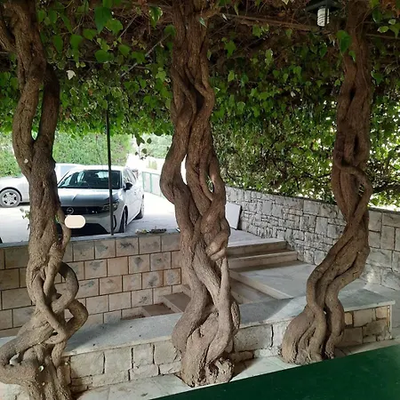 Bed & Breakfast Pansion Drvo Supetar