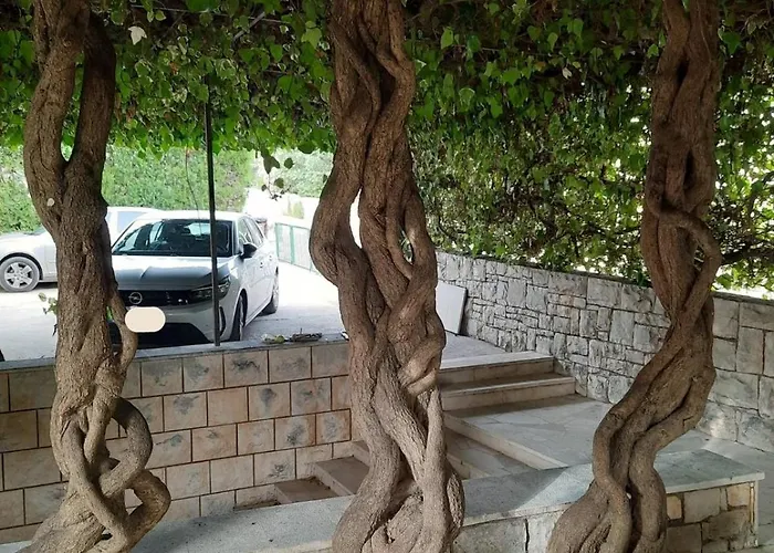 Oda ve Kahvaltı Pansion Drvo Supetar